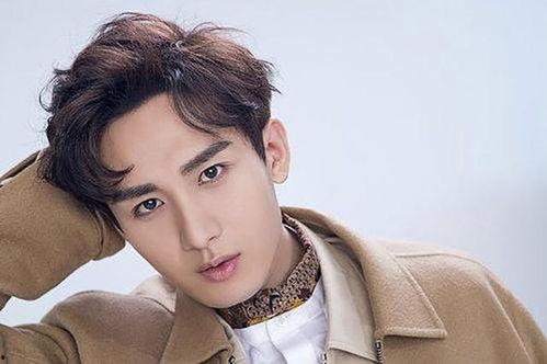 沉香成毅恋情爆料最新消息,甜蜜互动引网友热议，恋情细节揭秘！”  第1张